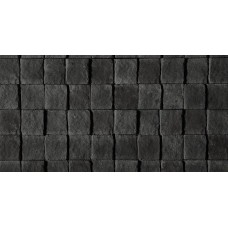Venus Black Venus Black