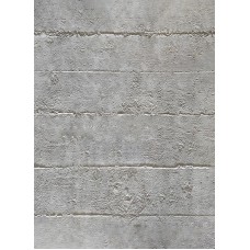 PANEL ΕΥΚΑΜΠΤΗΣ ΠΕΤΡΑΣ 117040 CONCRETE BOARD 600/1200mm LIGHT GREY PANEL ΕΥΚΑΜΠΤΗΣ ΠΕΤΡΑΣ 117040 CONCRETE BOARD 600/1200mm LIGHT GREY